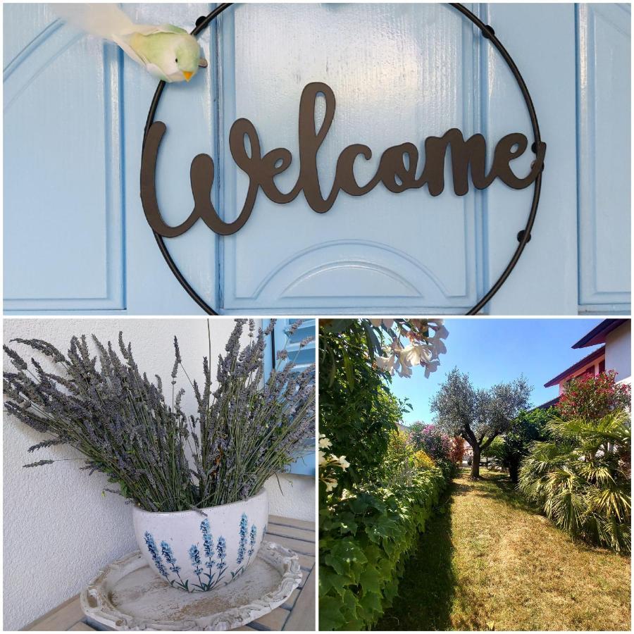 Salt & Sage Apartment Manzano Εξωτερικό φωτογραφία