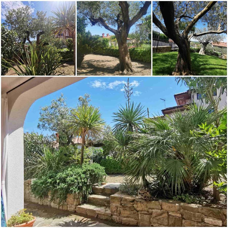 Salt & Sage Apartment Manzano Εξωτερικό φωτογραφία