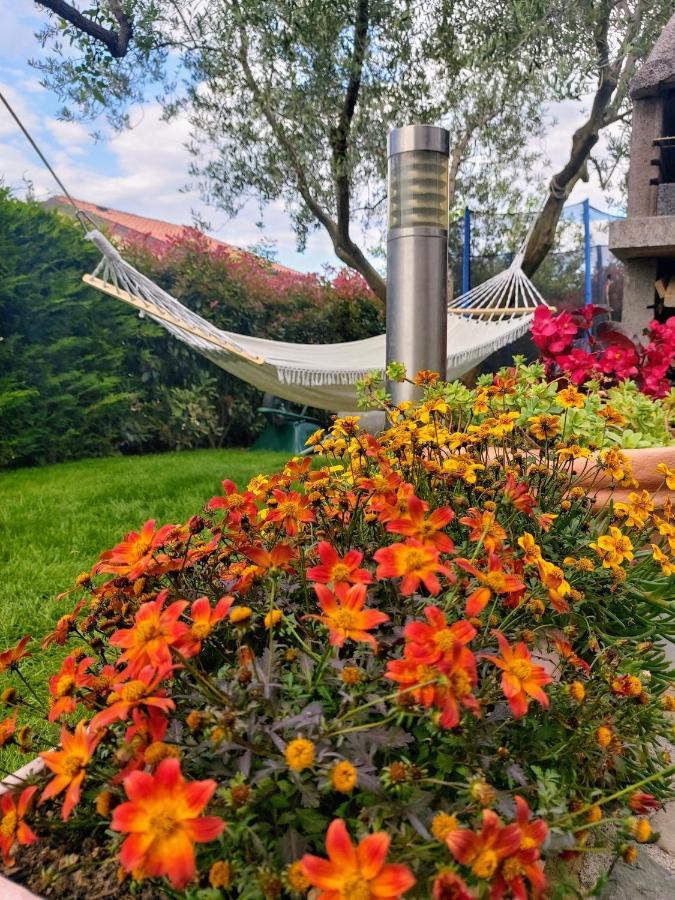 Salt & Sage Apartment Manzano Εξωτερικό φωτογραφία